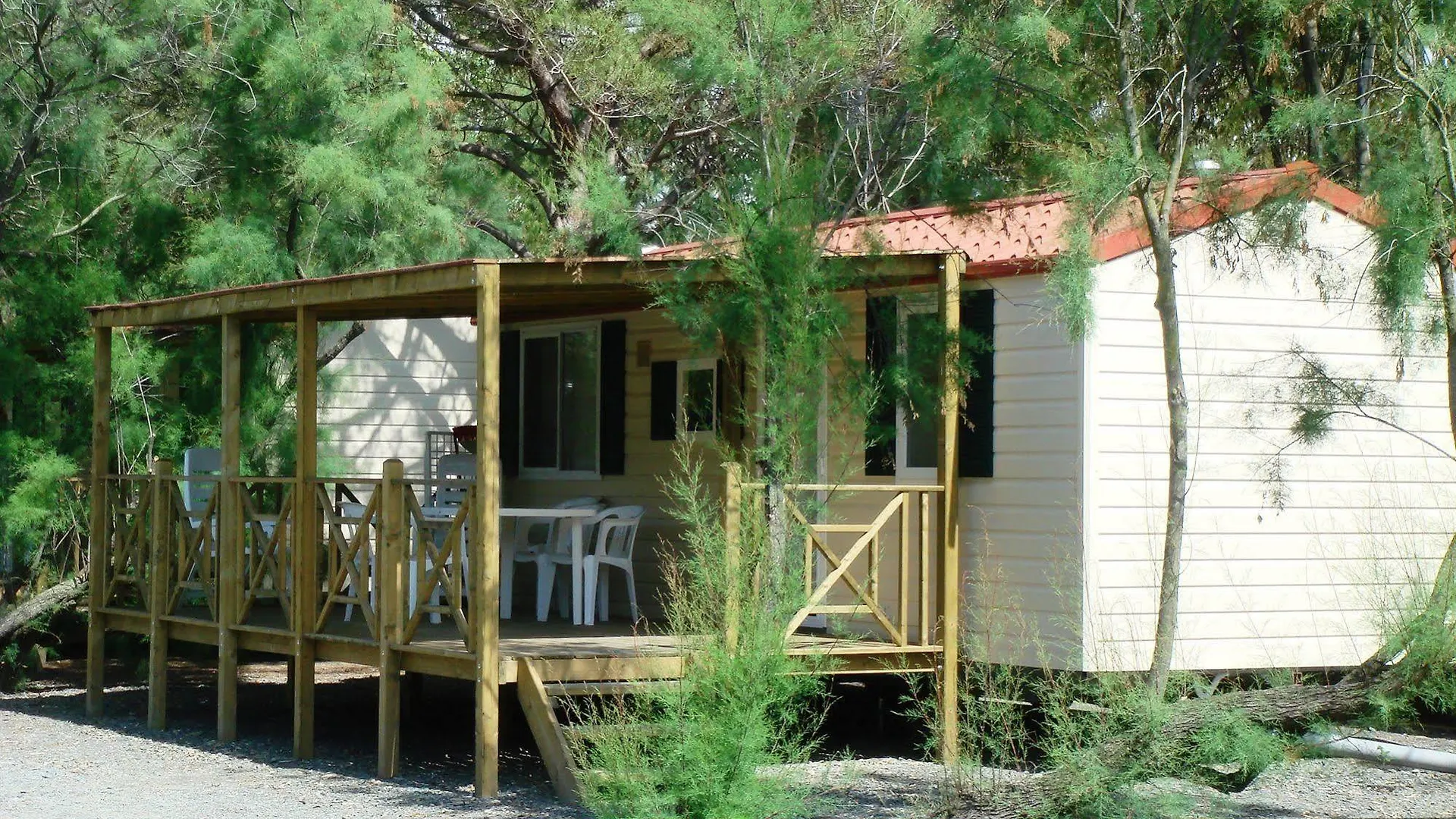 New Camping Le Tamerici Cecina  Hotel Cecina (Livorno)