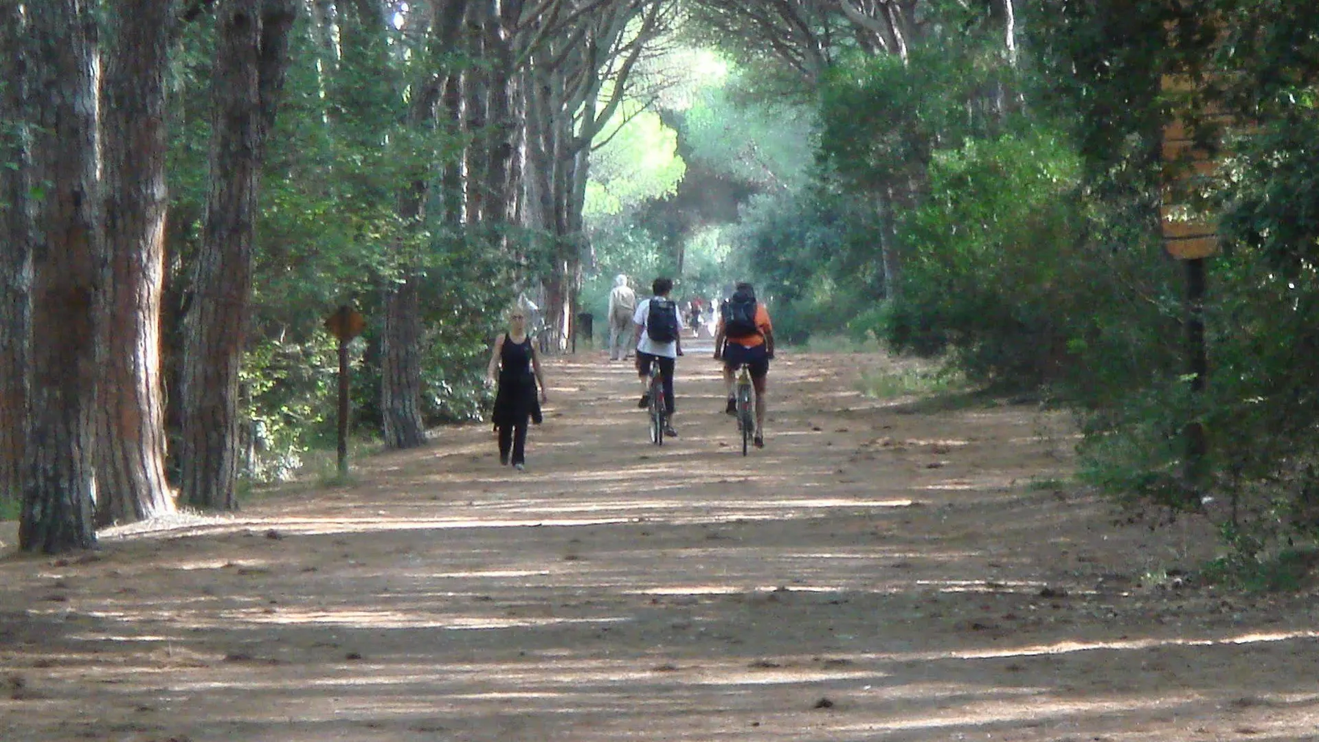 New Camping Le Tamerici Cecina  Italië